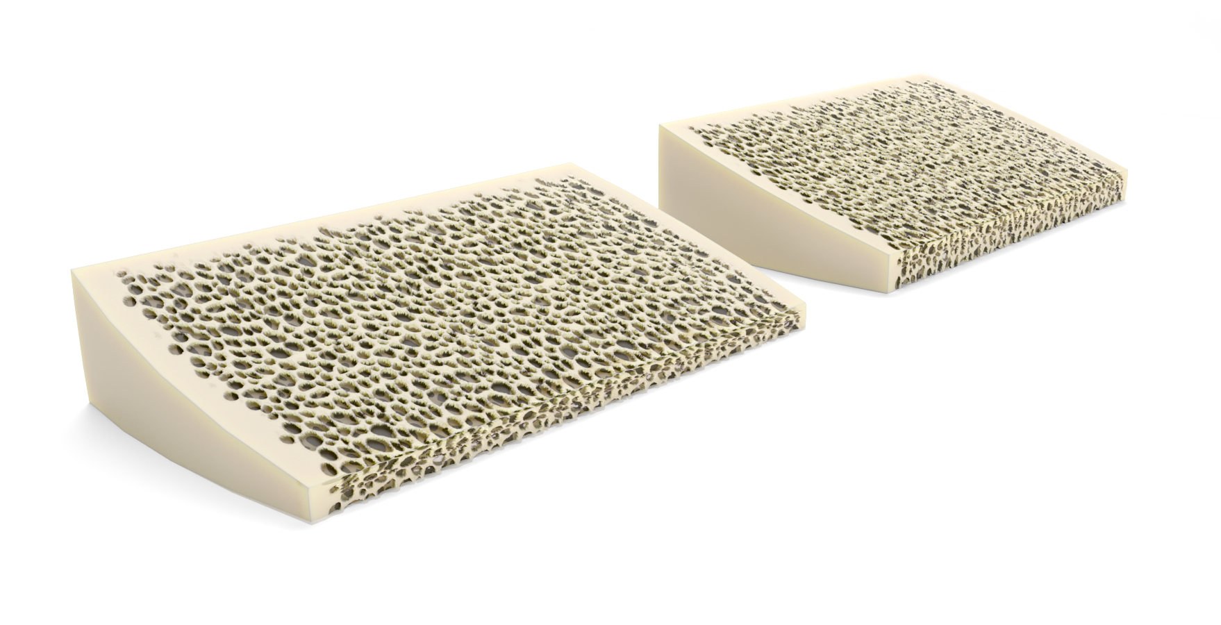 Biofit - Banner