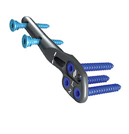 centolock-menu-1
